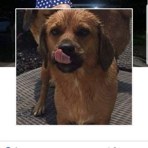 Meet your Posher, Deanna